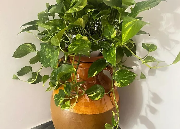 לינה וארוחת בוקר Lilla 3*